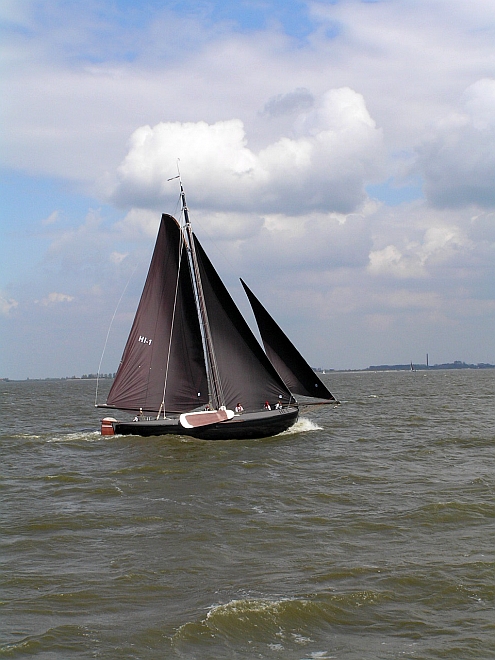 Lemsteraak_Ahoy2008 (71).jpg